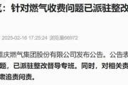 被罚810万后，重庆燃气：针对燃气收费问题已派驻整改督导专班-sinopecsales