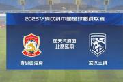 中足联官方：决定中止西海岸vs三镇比赛，补赛时间为3月3日14:00-中石化加油卡充值网站