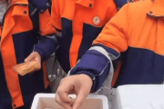 江西一90后数学老师离职后在校门口卖火鸡面：学生见我比上课积极，遇到家长还是尴尬-中石化网上营业厅官网