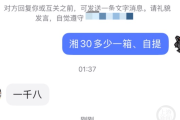 网民晒超大威力网红烟花“湘30”，厂家称节后恢复供应，管理部门回应：去年已禁售，节后将检查厂家-中国石化加油卡网上营业厅